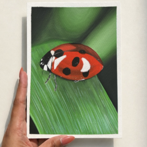 ladybug